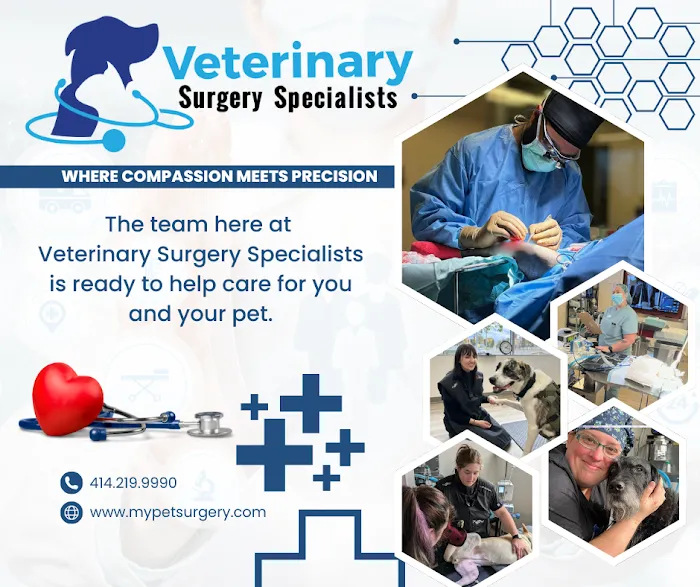 Veterinary Surgery Specialists Picture 10