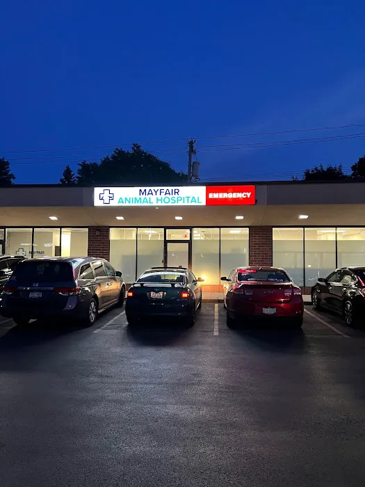Mayfair Animal Hospital & ER Picture 5