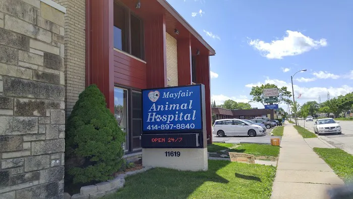 Mayfair Animal Hospital & ER Picture 3