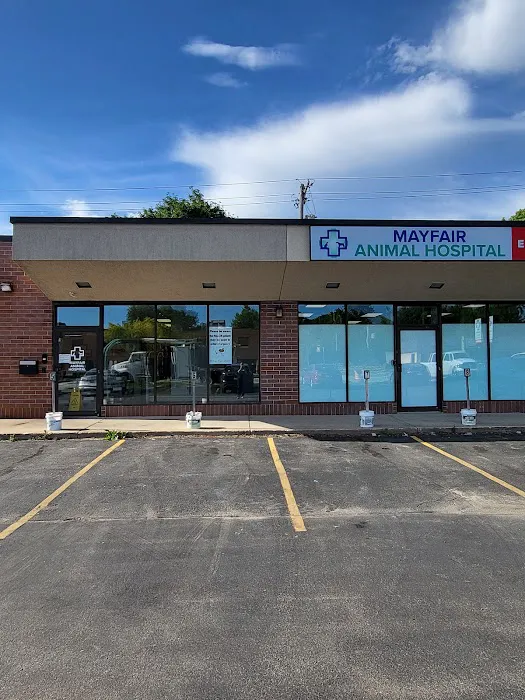 Mayfair Animal Hospital & ER Picture 9