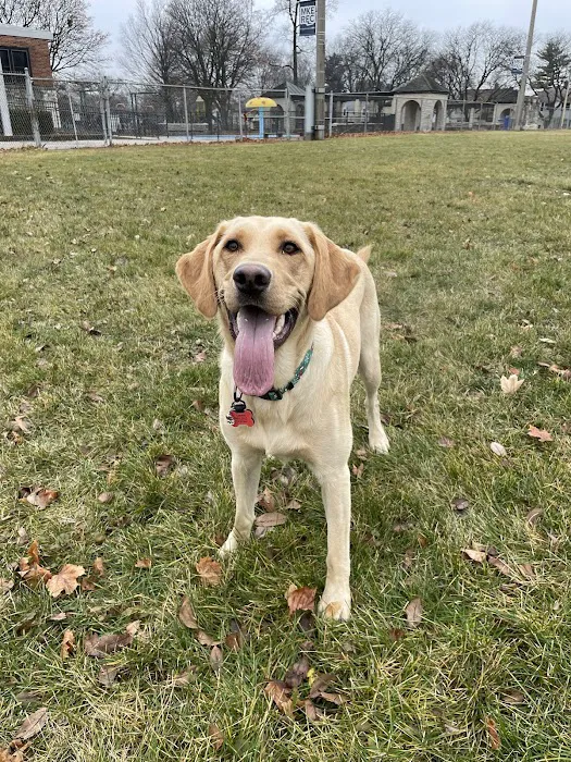 Mayfair Animal Hospital & ER Picture 8