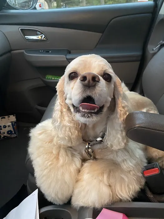 Burleigh Road Animal Hospital Picture 4