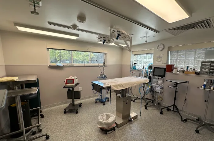 Burleigh Road Animal Hospital Picture 6