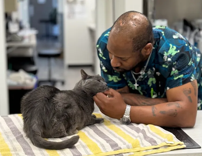 Burleigh Road Animal Hospital Picture 7