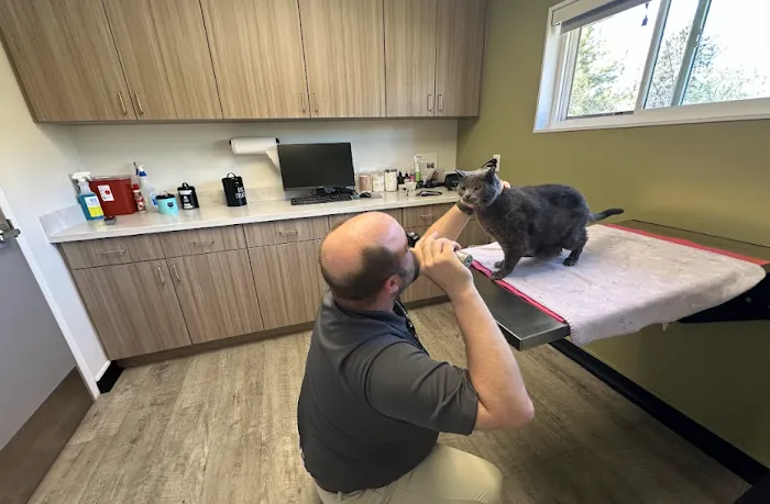 Burleigh Road Animal Hospital Picture 8