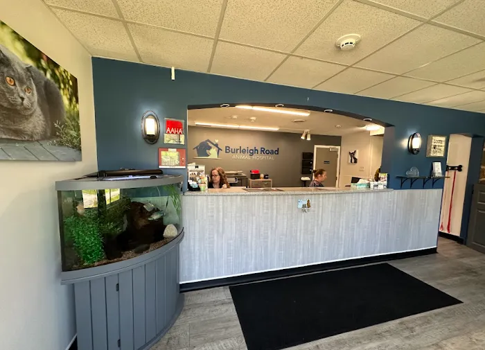 Burleigh Road Animal Hospital Picture 9