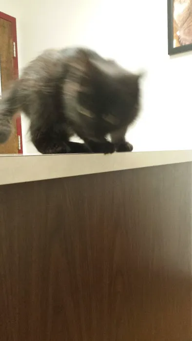 Hartland Animal Hospital Picture 5