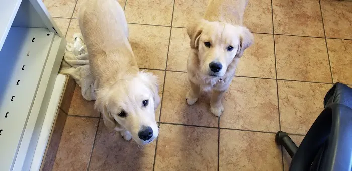 Hartland Animal Hospital Picture 2