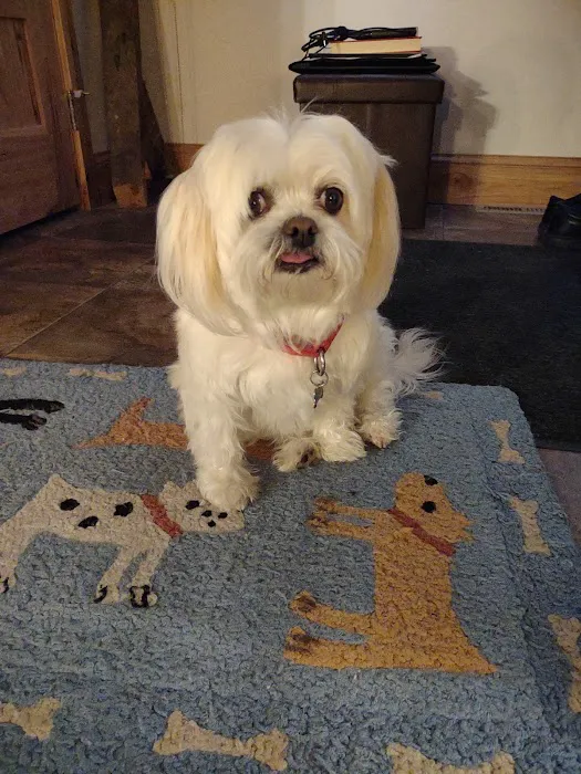 Hartland Animal Hospital Picture 1