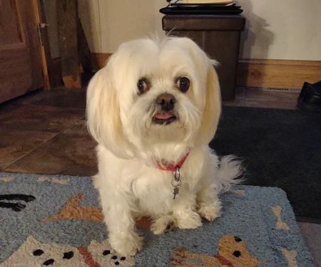 Hartland Animal Hospital