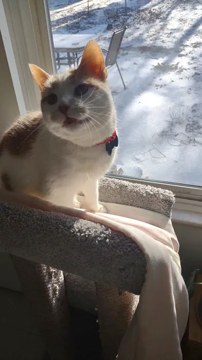 Hartland Animal Hospital Picture 4