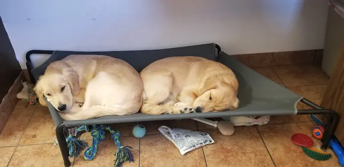 Hartland Animal Hospital Picture 6