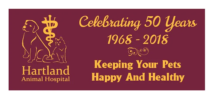 Hartland Animal Hospital: Shaughnessy Maureen DVM Picture 4