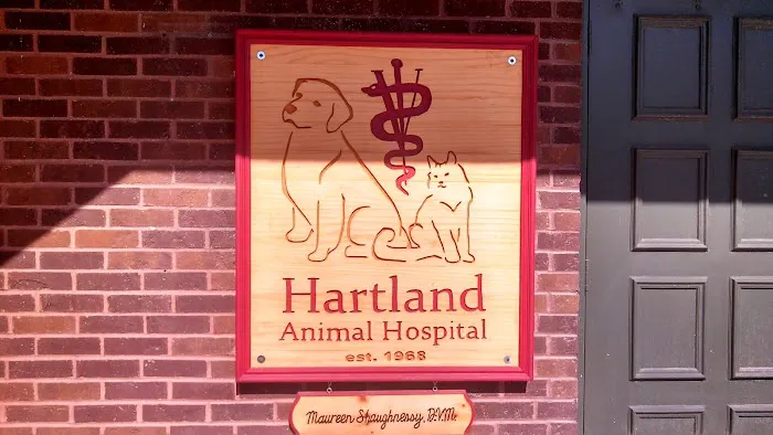 Hartland Animal Hospital: Shaughnessy Maureen DVM Picture 1