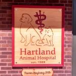 Hartland Animal Hospital: Shaughnessy Maureen DVM