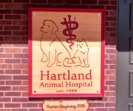 Hartland Animal Hospital: Shaughnessy Maureen DVM