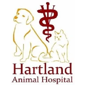 Hartland Animal Hospital: Shaughnessy Maureen DVM Picture 6