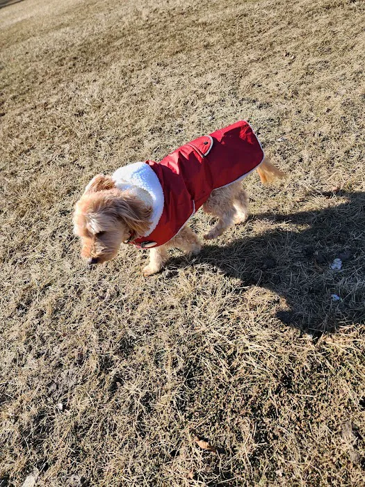 Lake Country Veterinary Care Picture 8