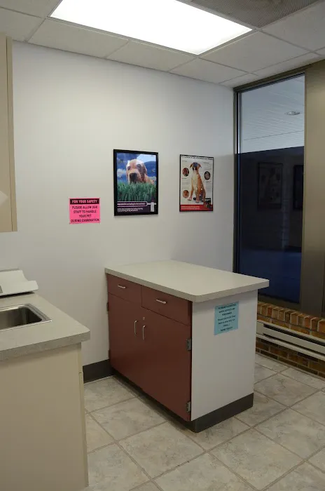 Lake Country Veterinary Care Picture 3