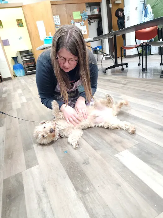 Lake Country Veterinary Care Picture 7