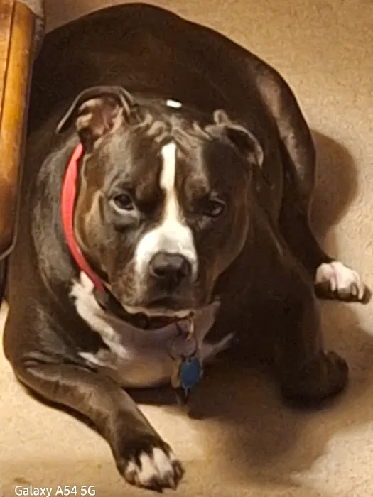 Lake Country Veterinary Care Picture 10