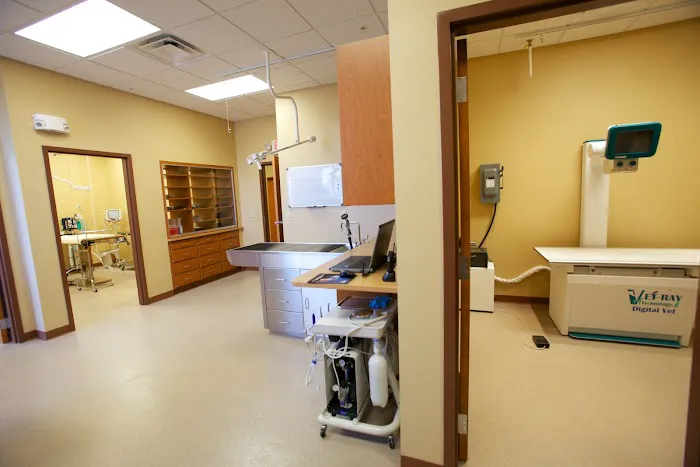 Lakeview Animal Clinic Picture 6