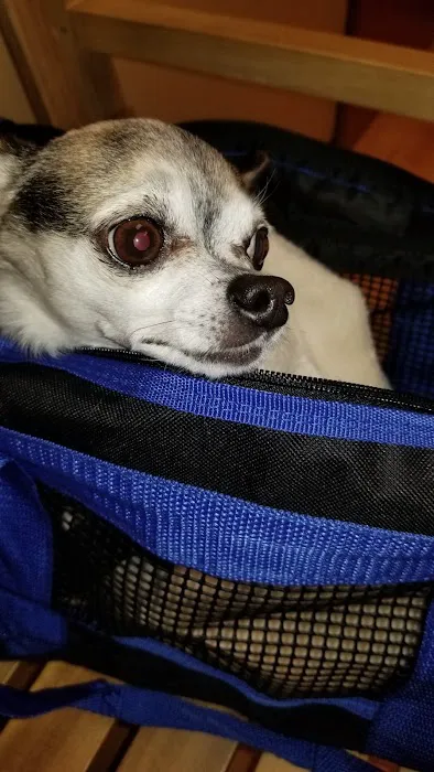 Lakeview Animal Clinic Picture 5