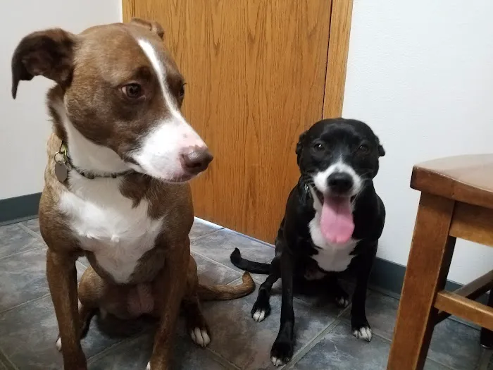 Hallett Veterinary Hospital Picture 1