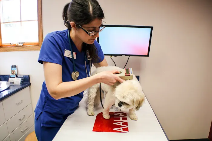 Hallett Veterinary Hospital Picture 3