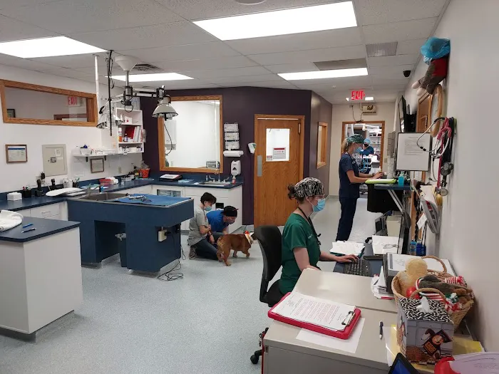 Hallett Veterinary Hospital Picture 2