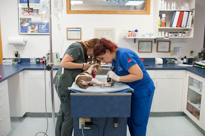 Hallett Veterinary Hospital Picture 10