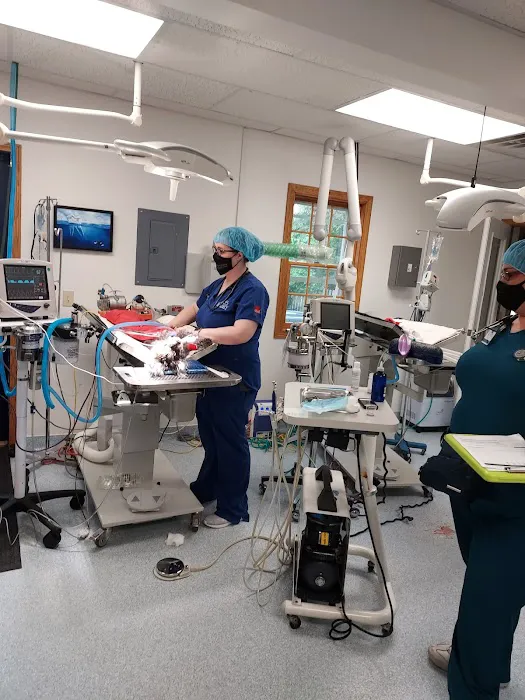 Hallett Veterinary Hospital Picture 8