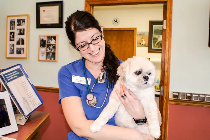 Dr. Heidi C. Hallett, DVM Picture 1