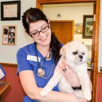 Dr. Heidi C. Hallett, DVM ico