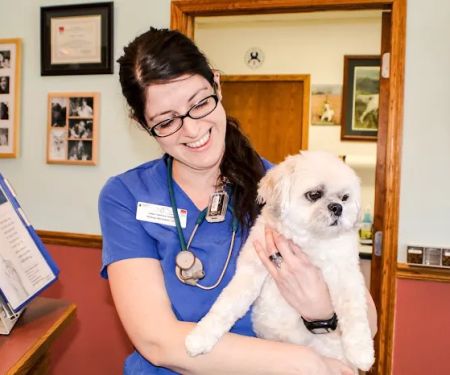 Dr. Heidi C. Hallett, DVM