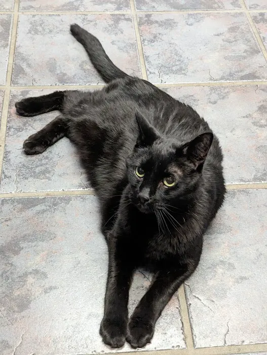 Michael Fagan, DVM Picture 2