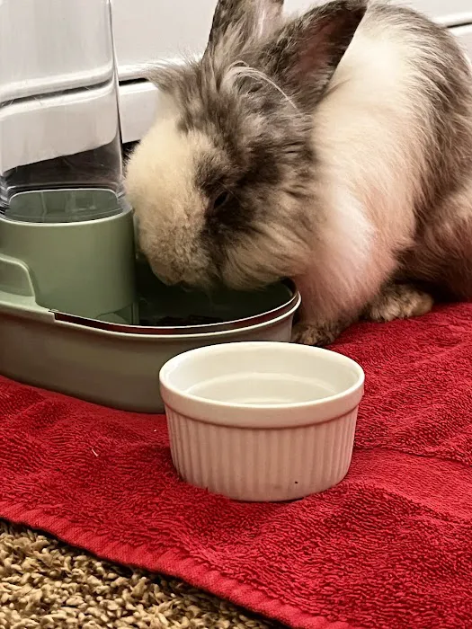 Cedar Bayou Animal Clinic Picture 2