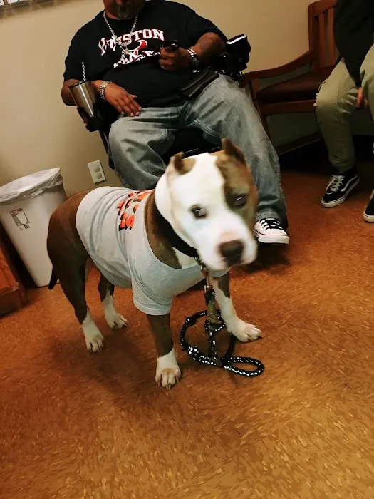 Cedar Bayou Animal Clinic Picture 1