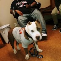 Cedar Bayou Animal Clinic ico