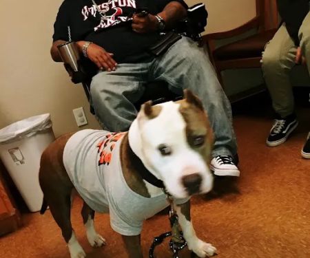 Cedar Bayou Animal Clinic