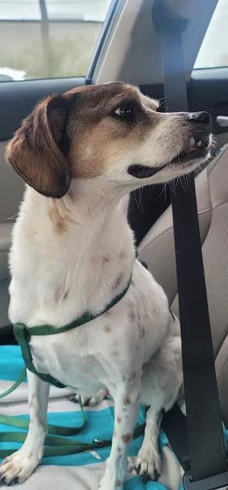 Cedar Bayou Animal Clinic Picture 4