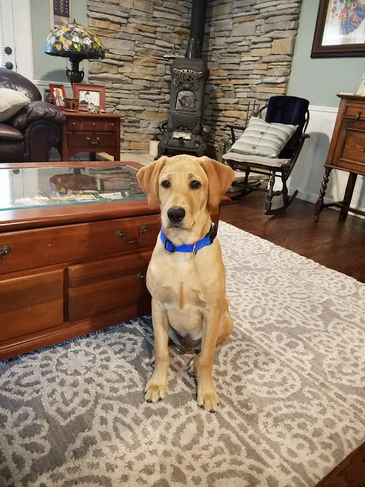 Cedar Bayou Animal Clinic Picture 3