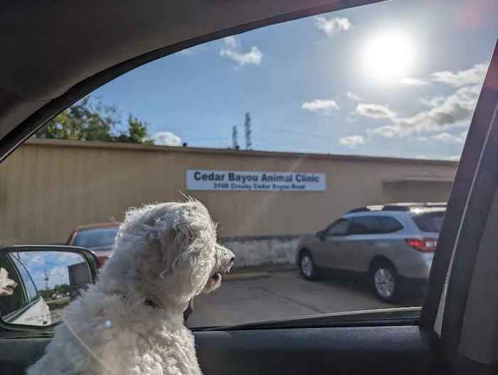 Cedar Bayou Animal Clinic Picture 6
