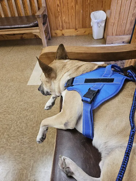 Cedar Bayou Animal Clinic Picture 7