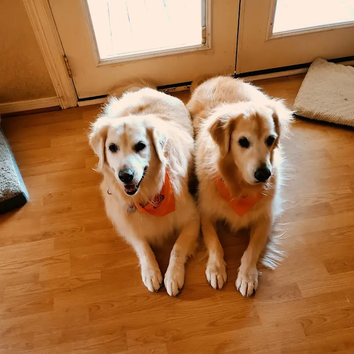 Cedar Bayou Animal Clinic Picture 10
