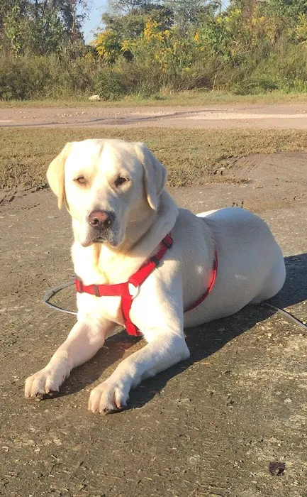 Animal Medical Center of Baytown Picture 1