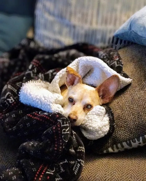 Animal Medical Center of Baytown Picture 7