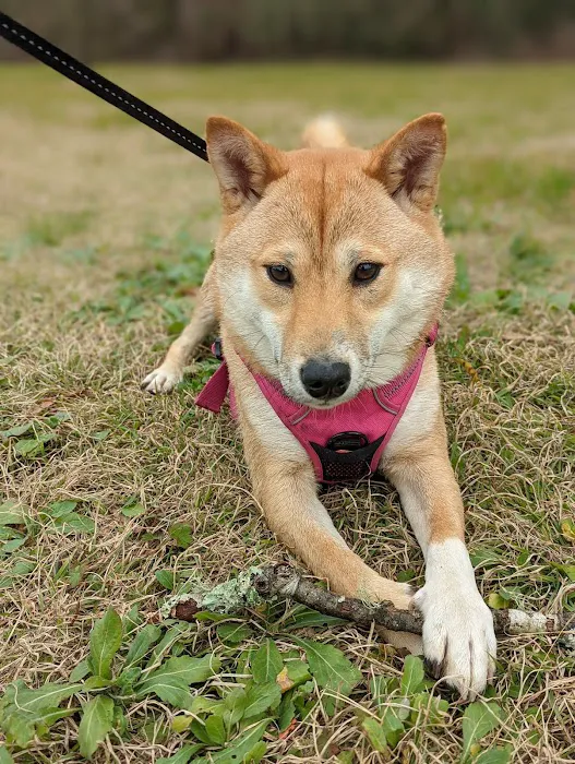 Animal Medical Center of Baytown Picture 6