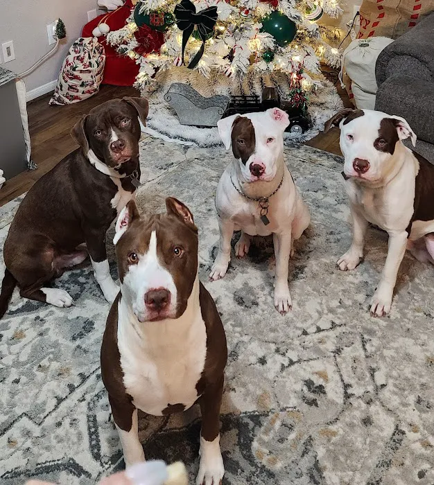 Animal Medical Center of Baytown Picture 8