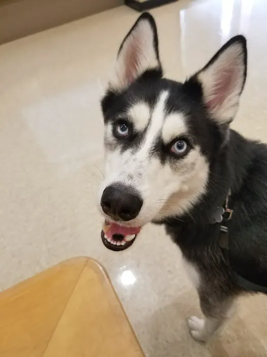 Animal Medical Center of Baytown Picture 9